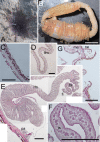 Figure 9.