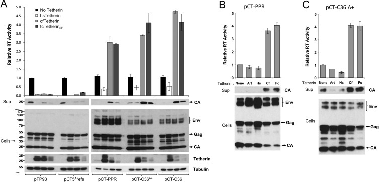 FIG 7