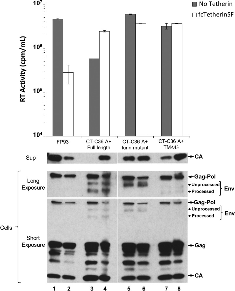 FIG 10