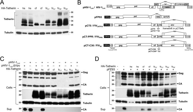 FIG 4