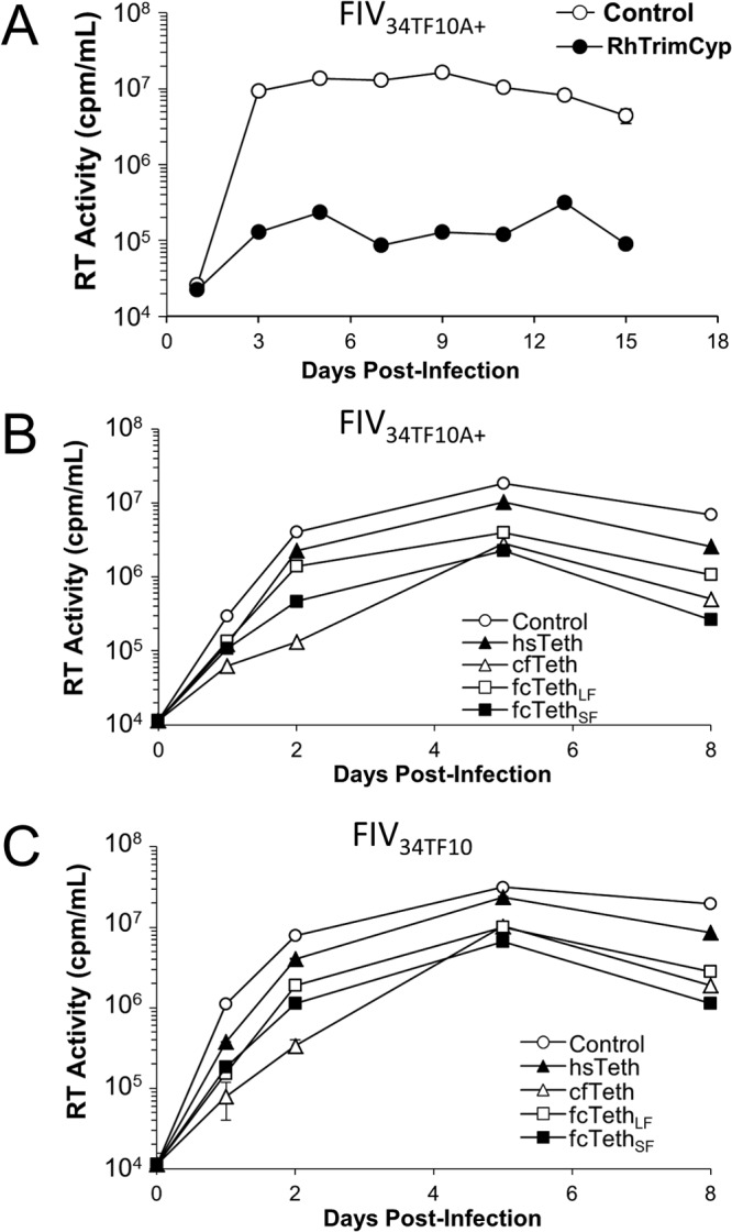 FIG 6