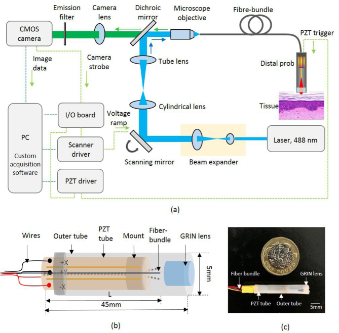 Fig. 1