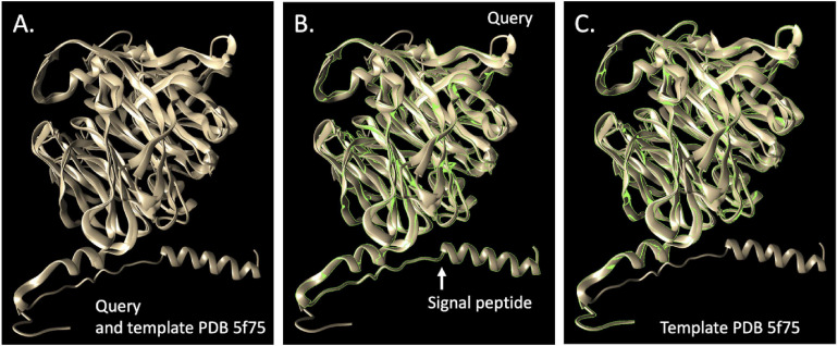 FIGURE 4