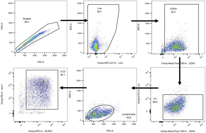 FIGURE 6