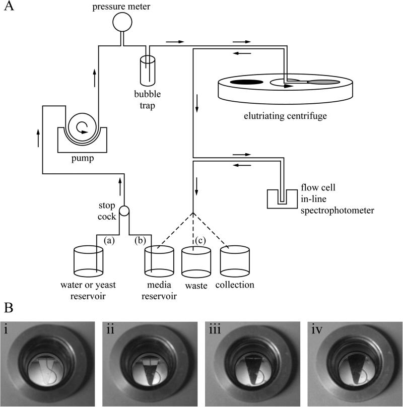 Figure 2.1