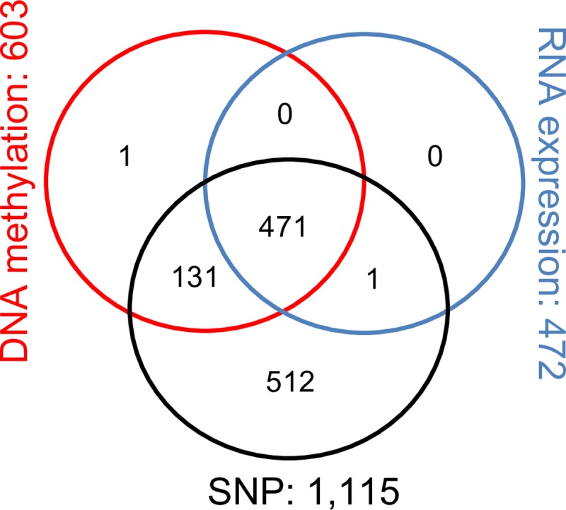 Fig 5