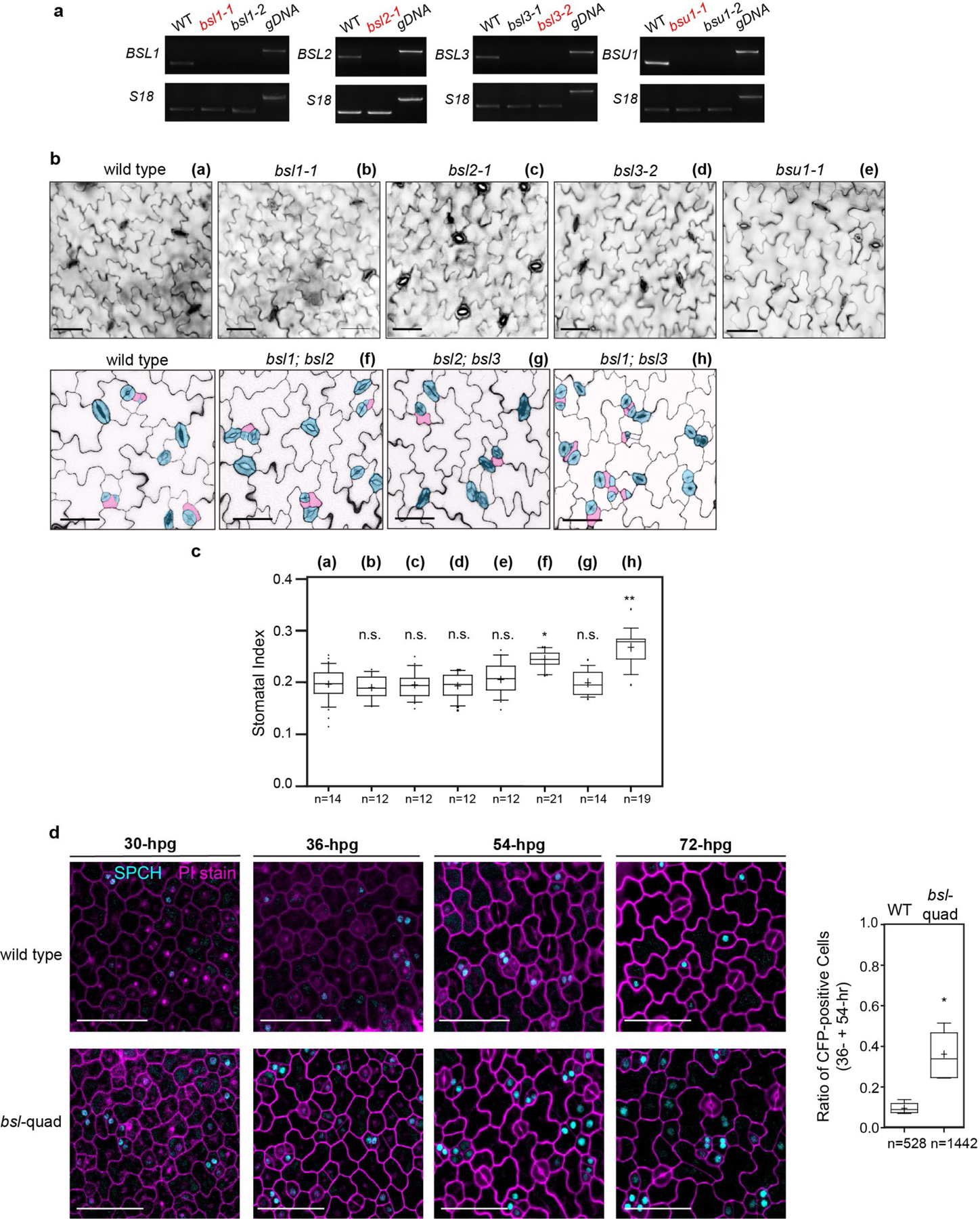 Extended Data Fig. 8 |