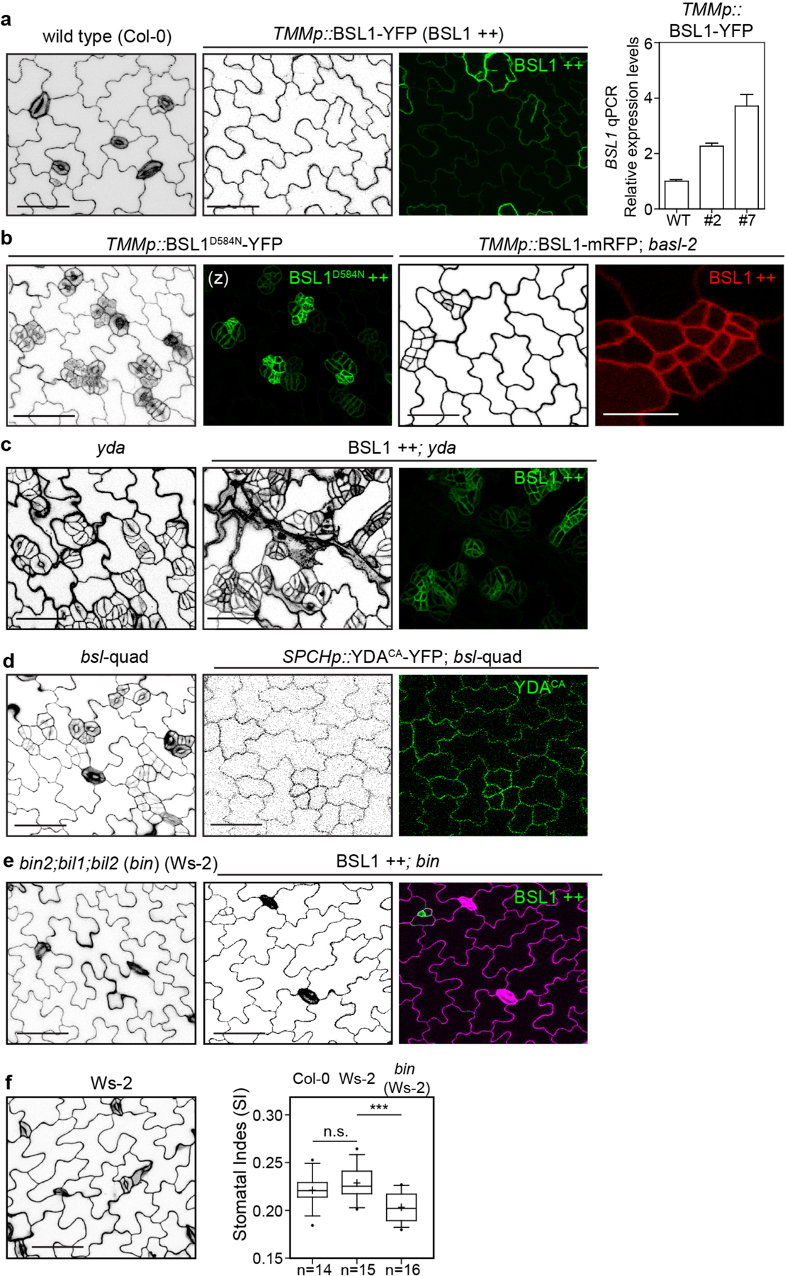 Extended Data Fig. 9 |