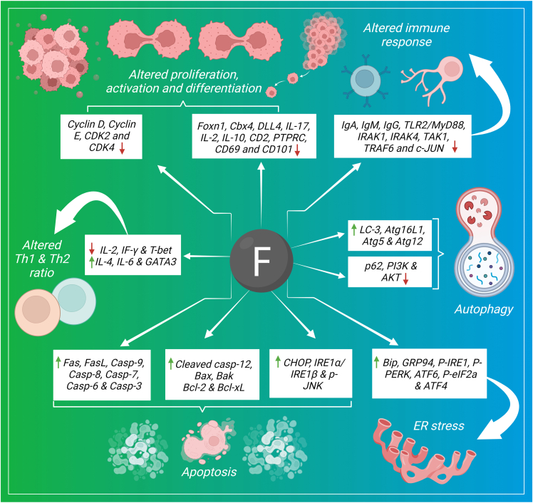 Figure 4