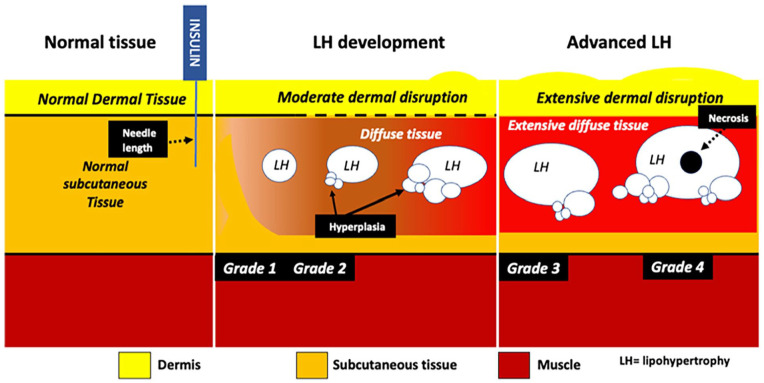 Figure 5.