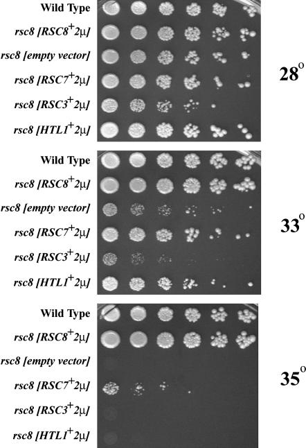 Figure 5.