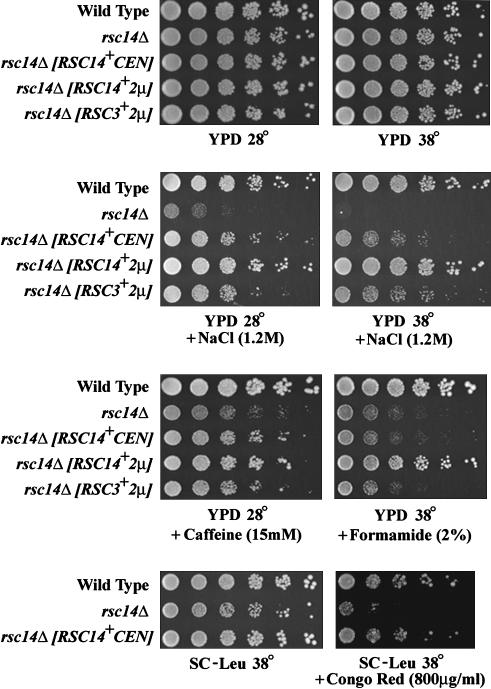 Figure 3.