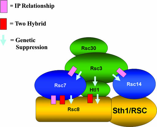 Figure 6.