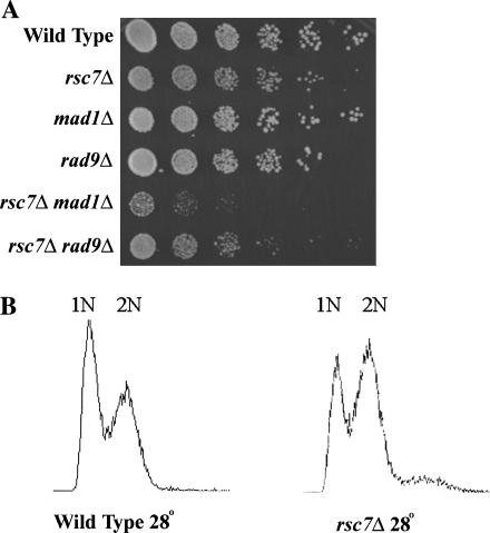 Figure 7.