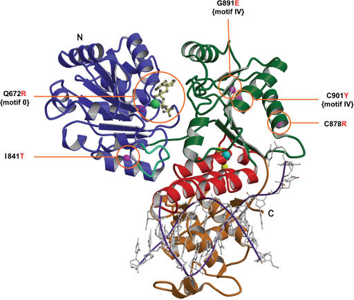 Figure 2.