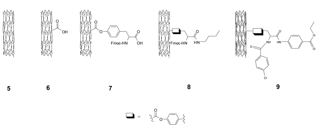 Scheme 2