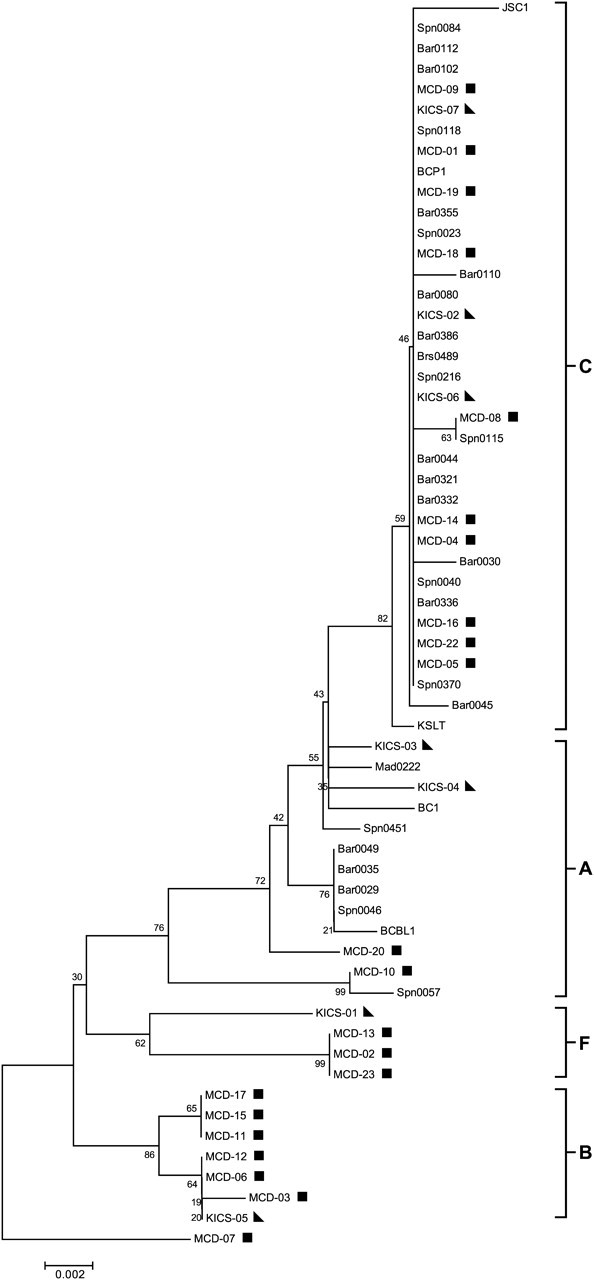 Figure 3.