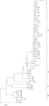 Figure 3.