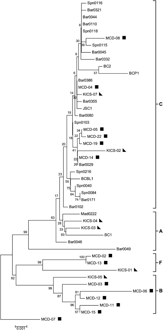 Figure 2.