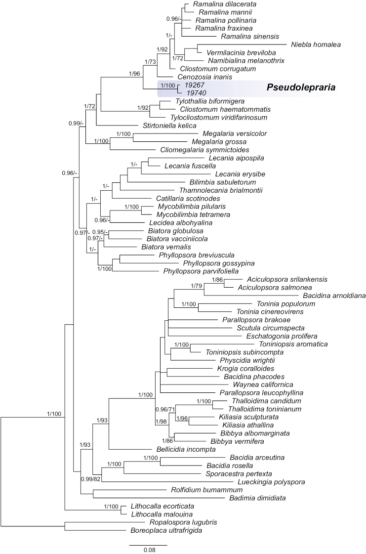 Figure 1.