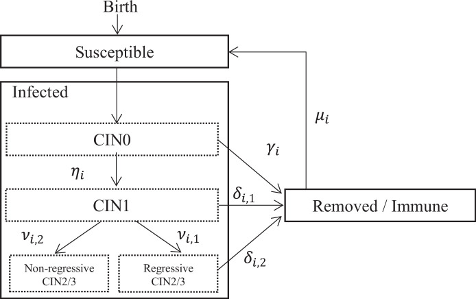 Appendix 1—figure 1.