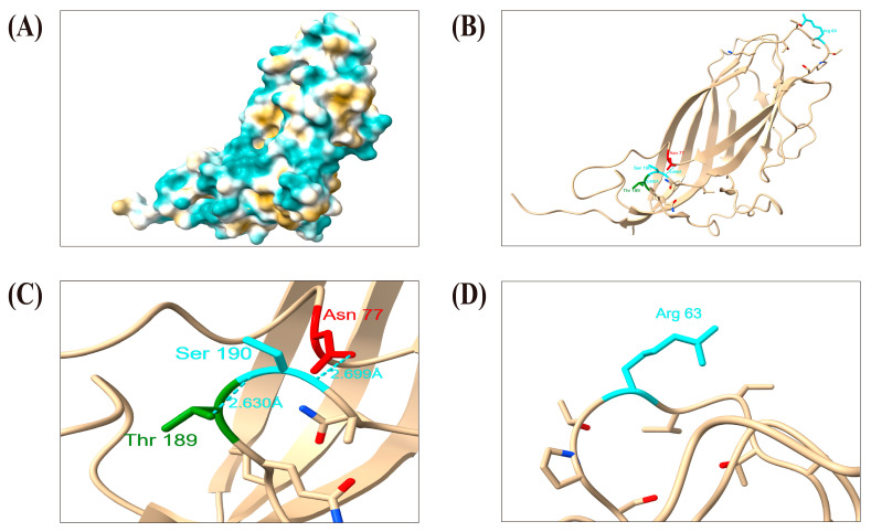 Figure 12