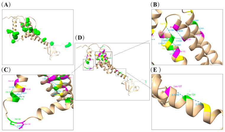 Figure 11