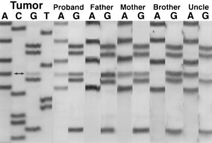 Figure  3