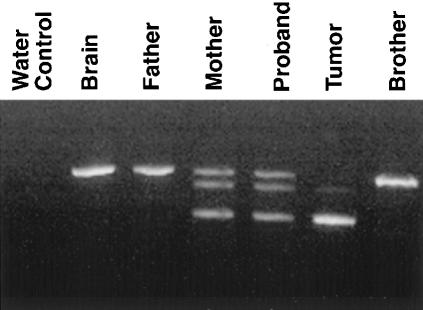 Figure  2