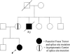 Figure  1