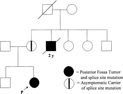 Figure  1