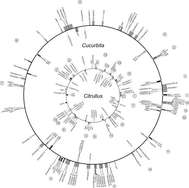 FIG. 2.