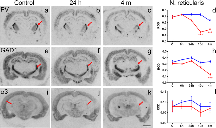 Fig. 6