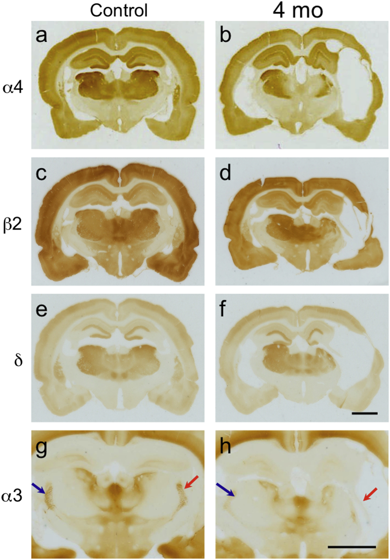 Fig. 4