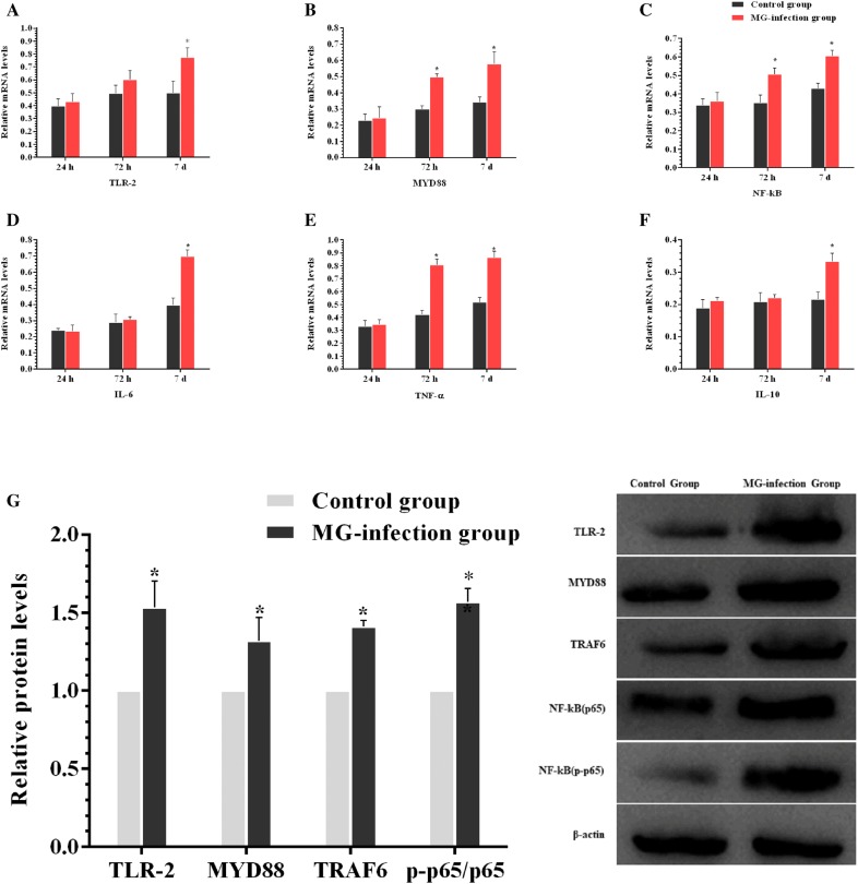 Figure  4