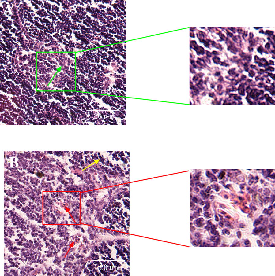 Figure  3