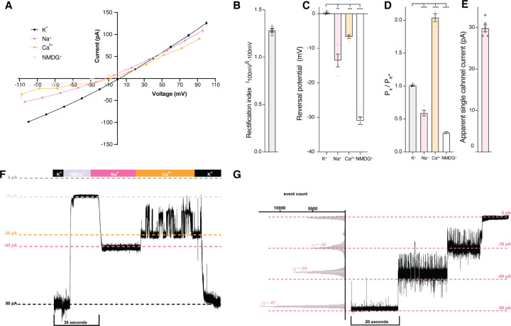 Figure 1 -