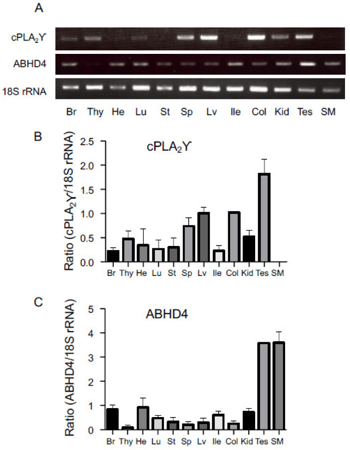 Figure 7