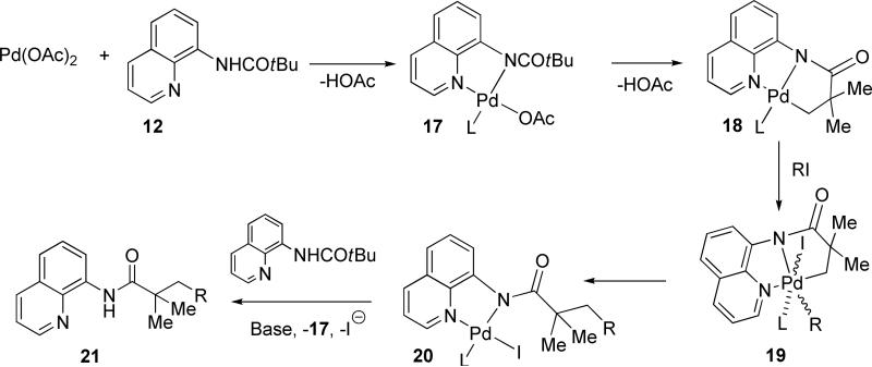 Scheme 5