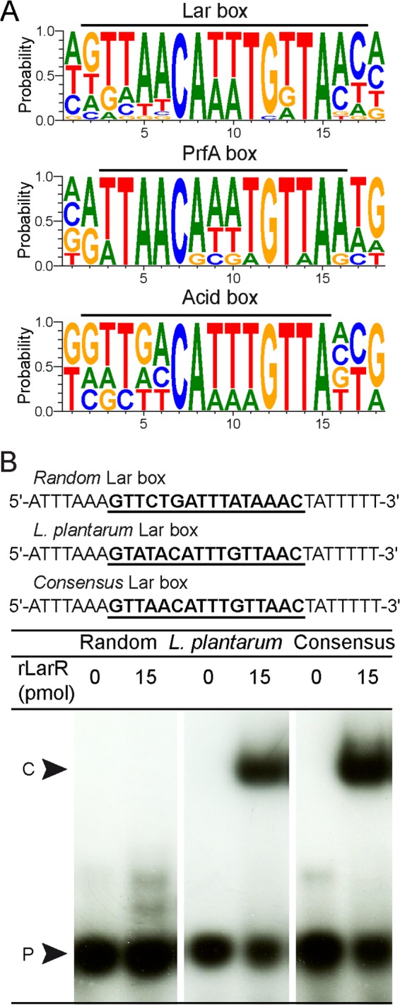 FIG 2