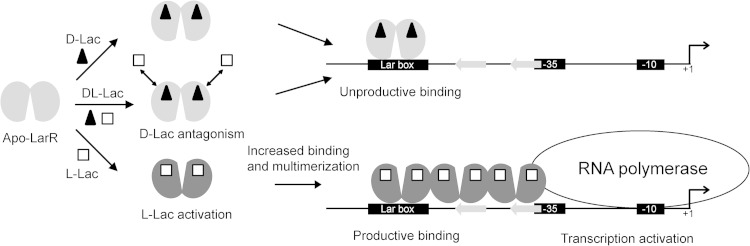 FIG 8