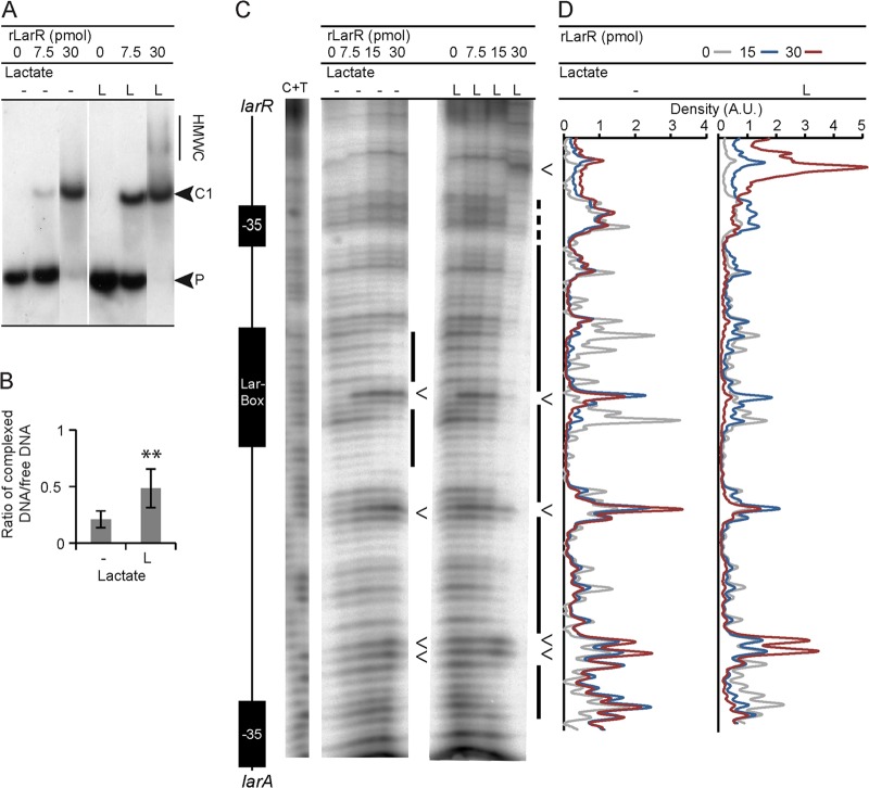 FIG 6