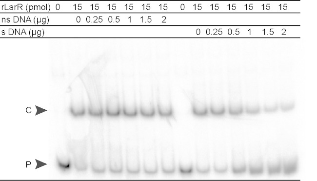 FIG 3