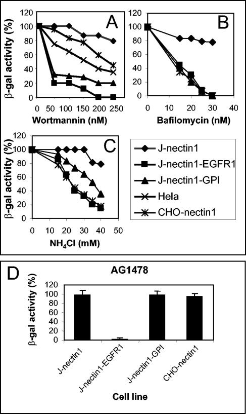 FIG. 6.