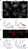 FIG 5