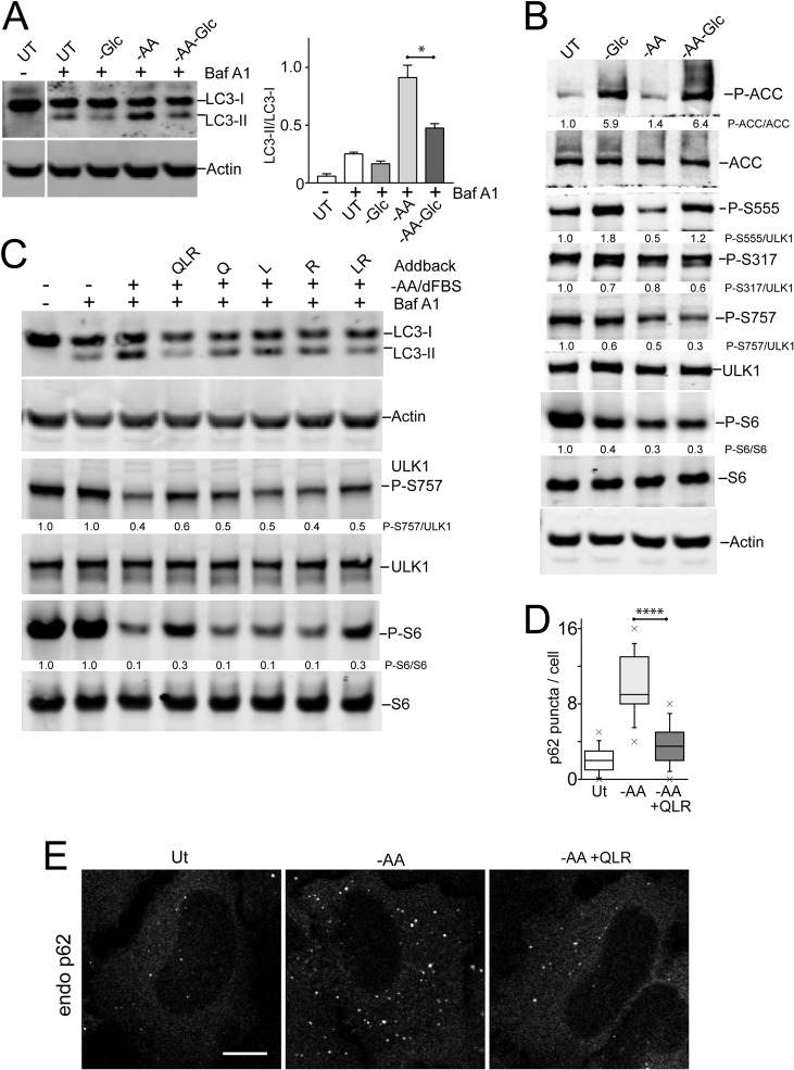 FIG 6