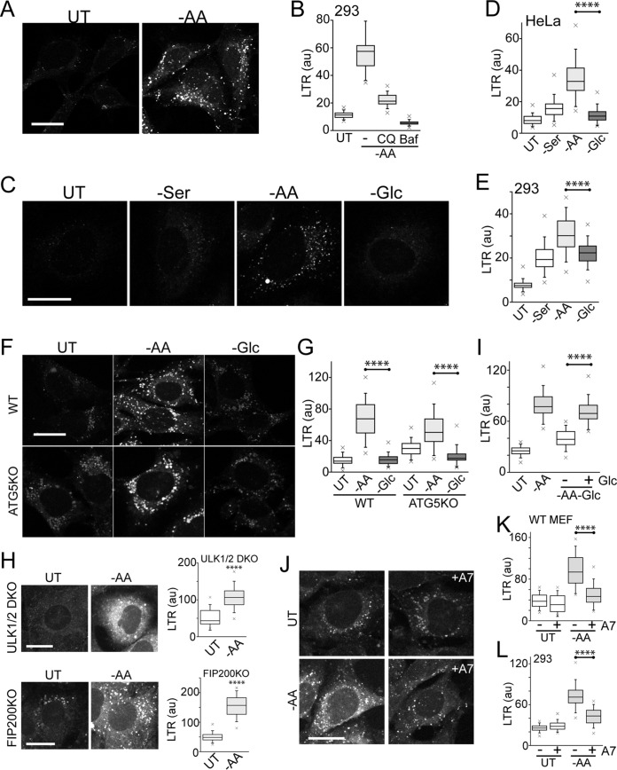 FIG 10