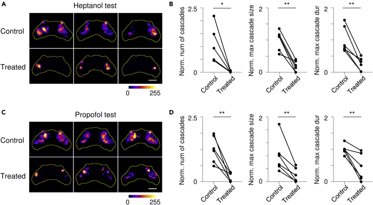 Figure 6