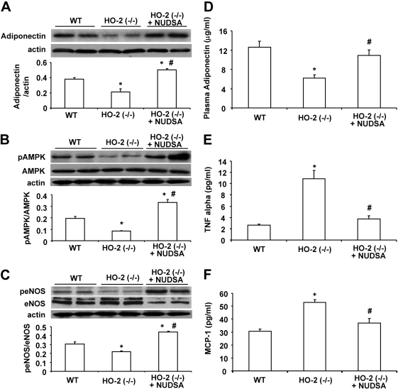 Fig. 8.