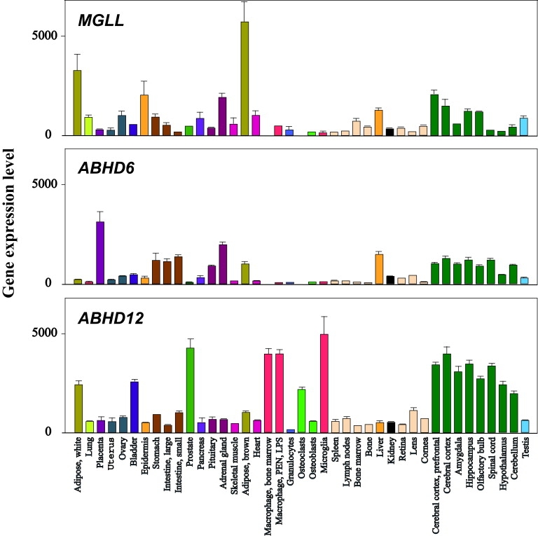 Figure 2